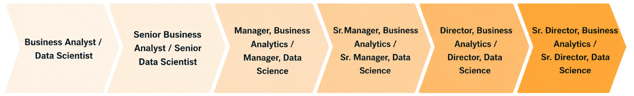 career-graphic-edit-transparent-final-scaled (1) career path graphic